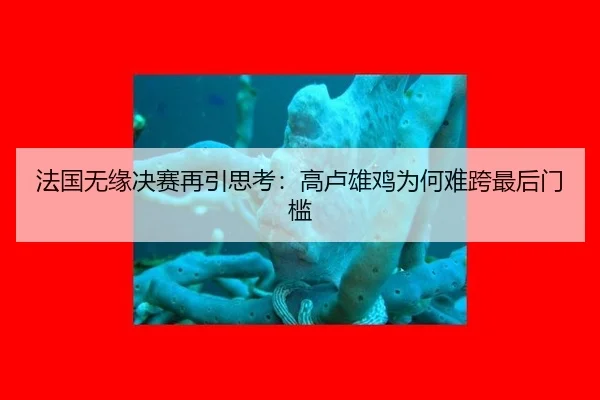 法国无缘决赛再引思考：高卢雄鸡为何难跨最后门槛