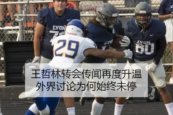 王哲林转会传闻再度升温 外界讨论为何始终未停